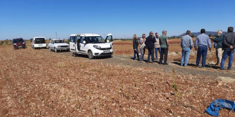Barza ovası Tıbbi Aromatik Bitkiler Projesi