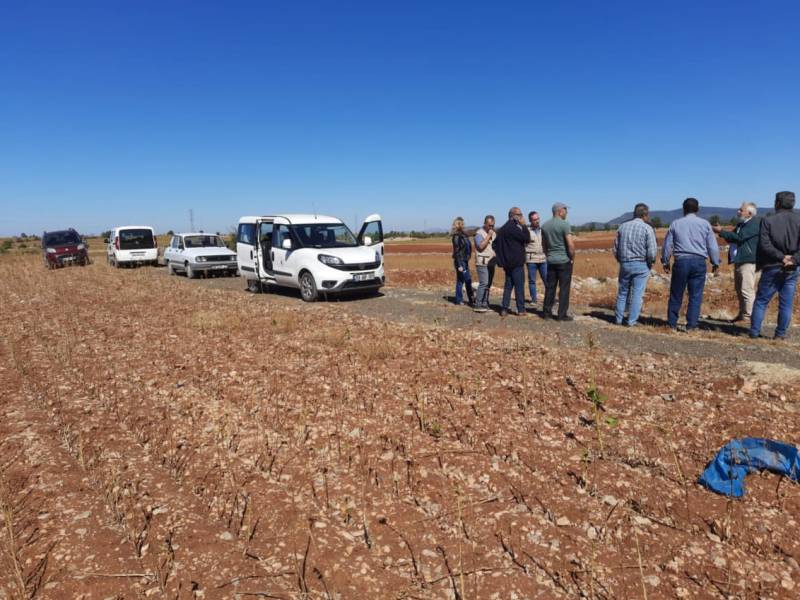 Barza ovası Tıbbi Aromatik Bitkiler Projesi
