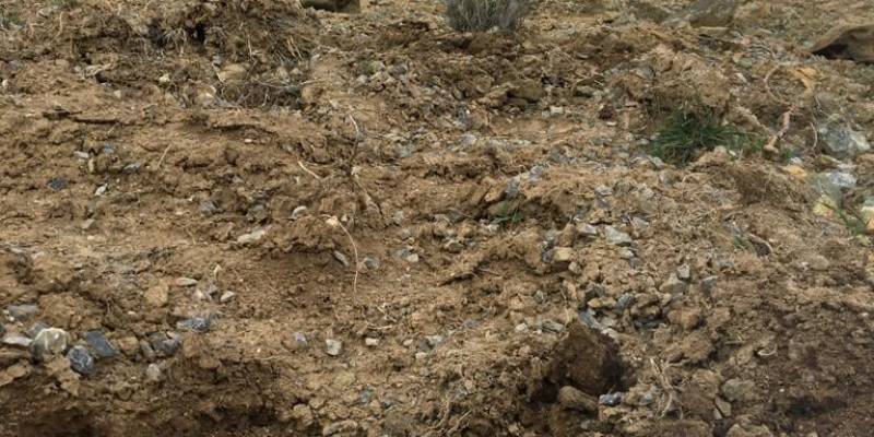 Lavanta Yetiştiriciliği ve Kırtasiye Malzemeleri Alımı