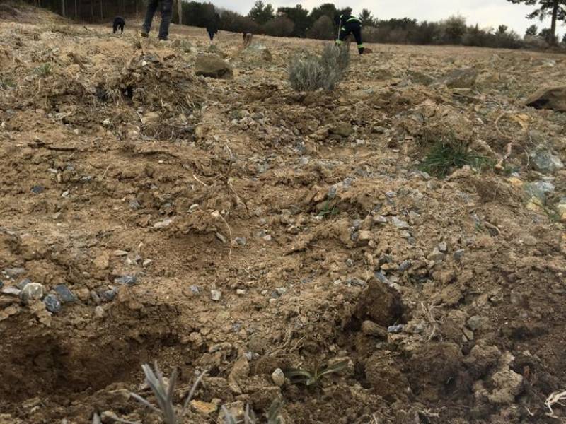 Lavanta Yetiştiriciliği ve Kırtasiye Malzemeleri Alımı